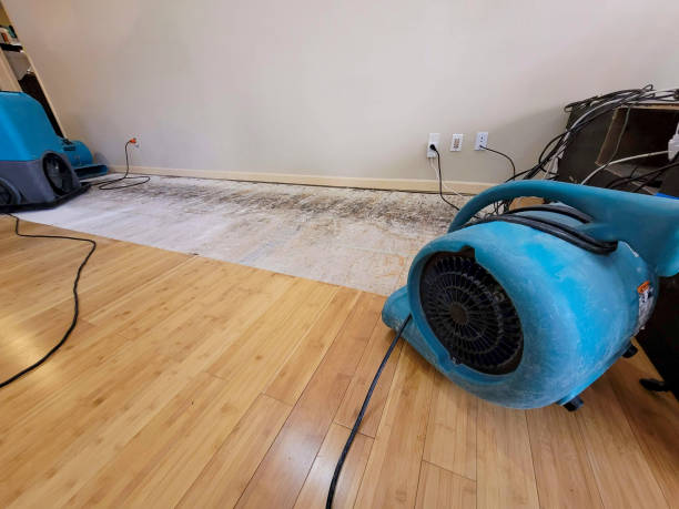 Professional Structural Drying technician working in Stratford, OK
